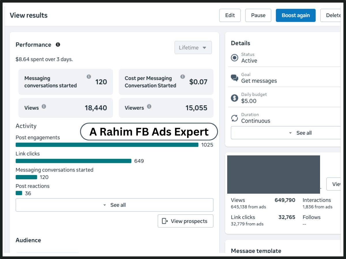 Facebook Ads Result